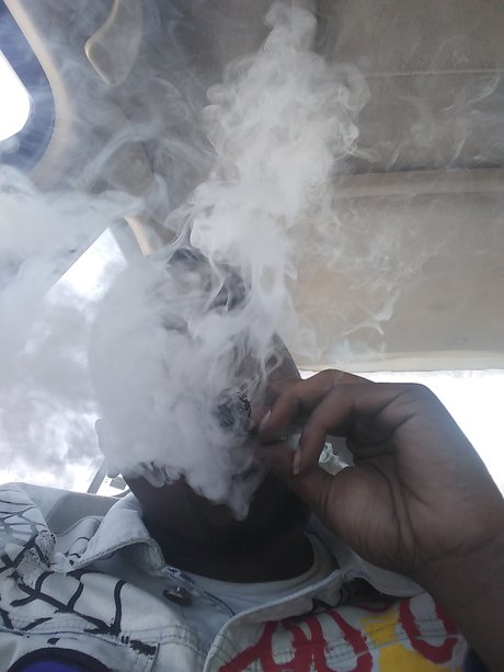 Ikebike art model image