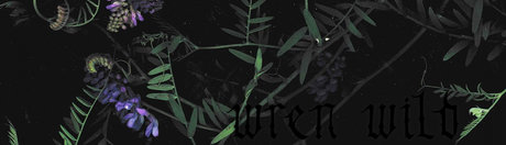 Wren Wild art model images