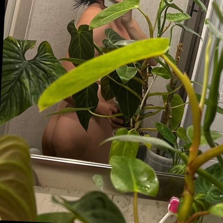 plantfeetpics pornstar sexy pics