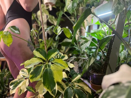 plantfeetpics high quality model archive