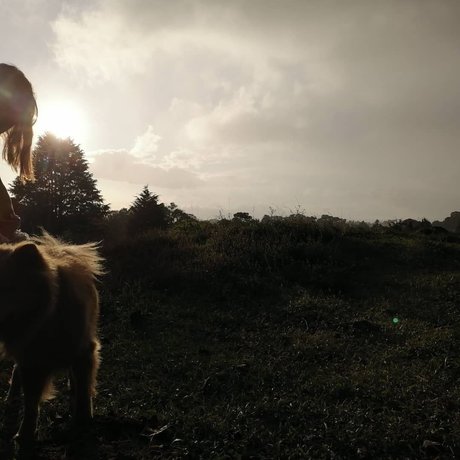 Fabi Sanchez model perfect picture