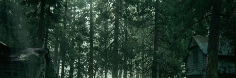 F bio Nokis nude pornstar picture