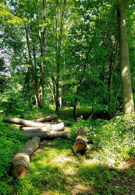 Onyx Rhyven s Page model nude pics