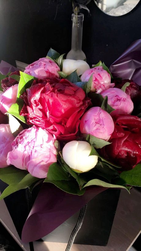 angelcakes star perfect pics