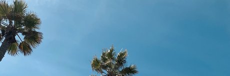 Cris y los Dinos pretty pornstar pictures