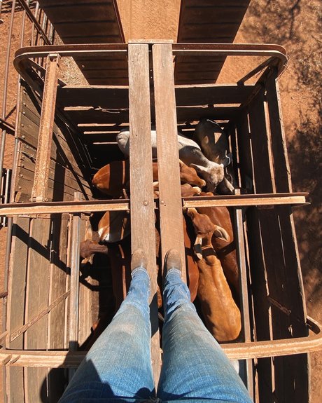 Naughtycowgirl erotic actress photo