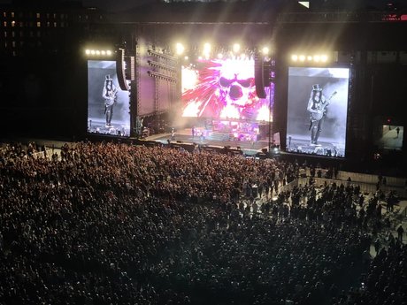 Mackenzie Rose nice star archive