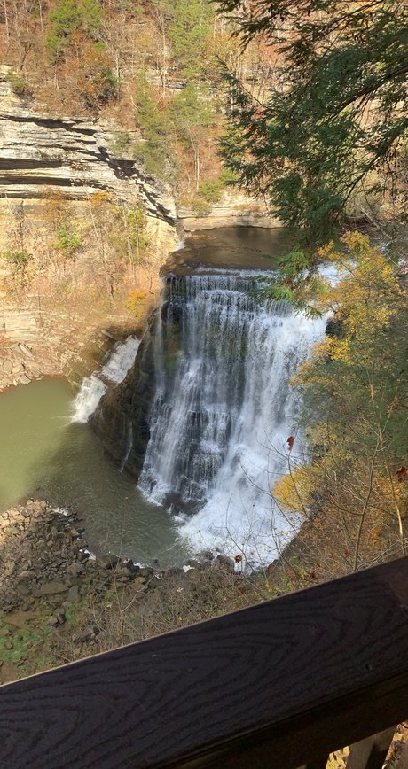 Brick hd model picture