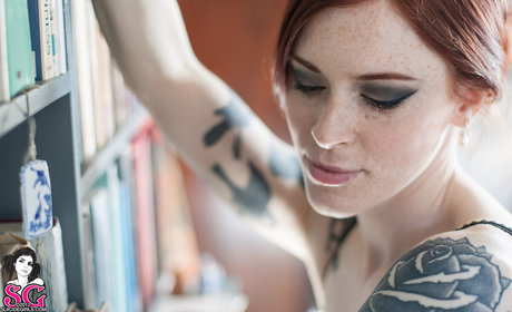 Annalee perfect star archive