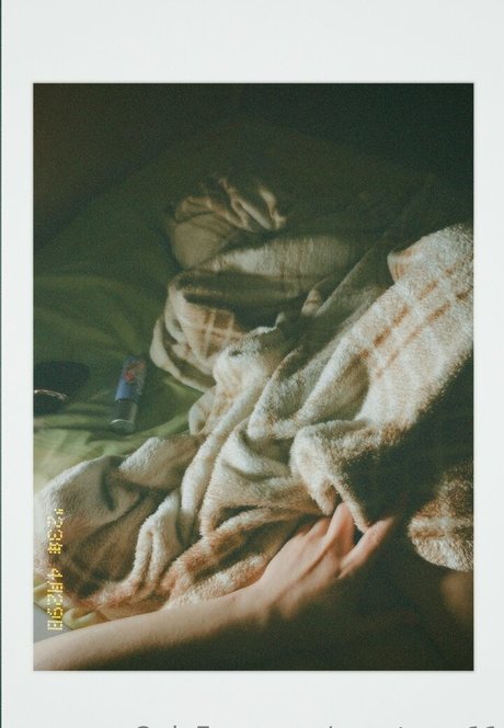 anast ass11 Profile pic