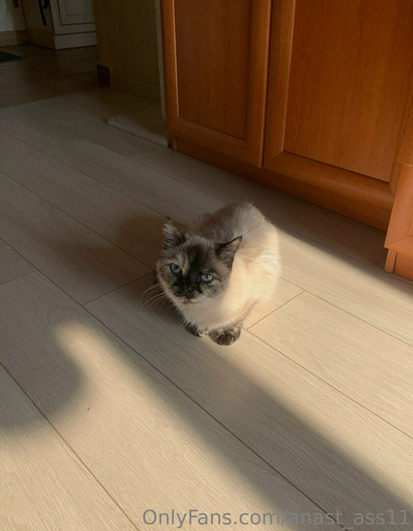 anast ass11 nudes actress galleries