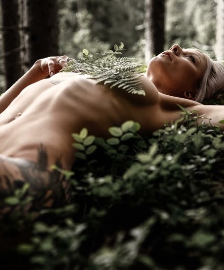 withered rose model nude gallery