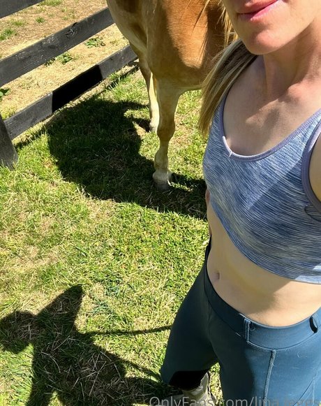 lina leggs star art galleries