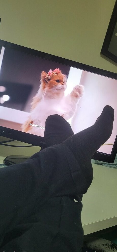 packdopedaingrid exclusive model photo