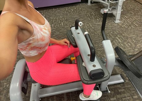 txsnacks best model archive