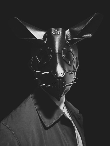 Bunny Dark star nice image