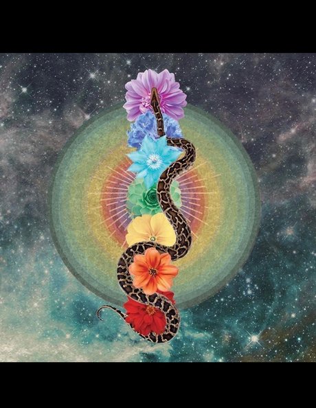 PhoenixRhysing model nudes archive