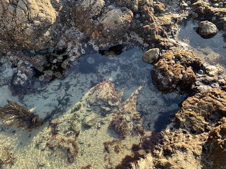 Chad Man naked model images