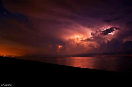 _sacred lotus_ porn actress pics