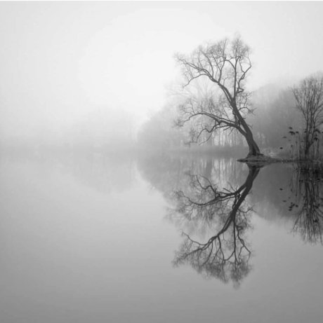 Darlingitsyou_ pornstar sexy archive