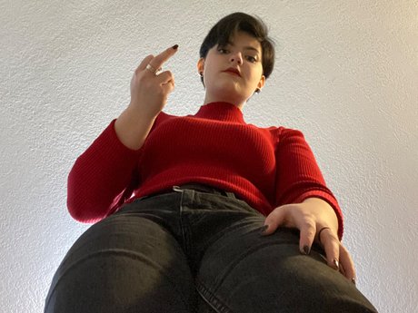 Hark model top gallery