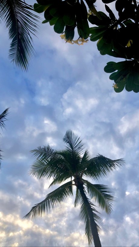 Kendall Kate beautiful star pic