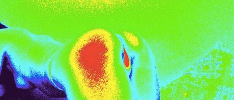 Maryia naked model pics