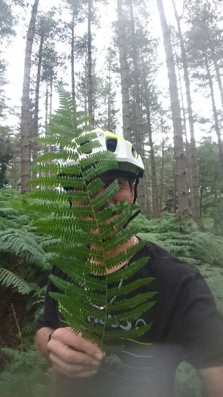 Daz for fun porn model pictures