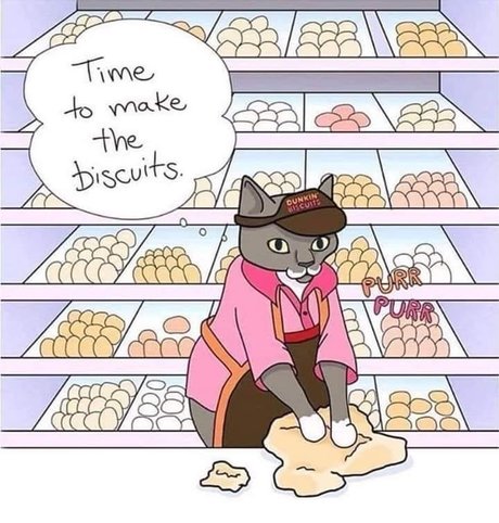 Robin x model adult photo