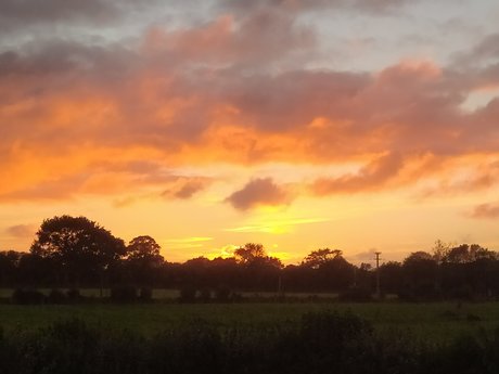 Thefixo top model pictures