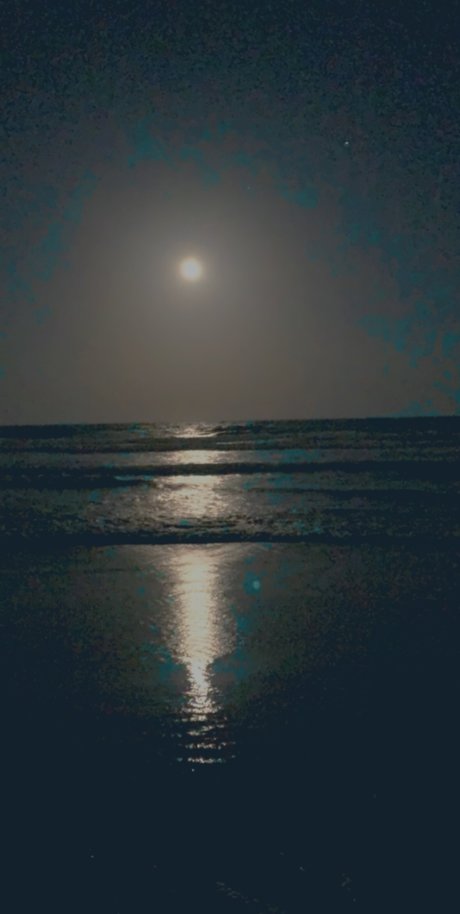 Just Jess star exclusive pics