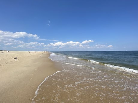 Jurriaan de Vries star high quality photo