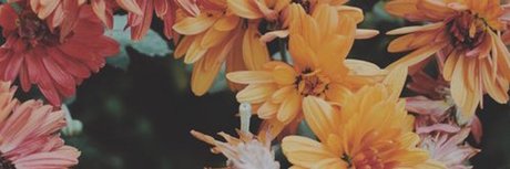 Abdul El Sahili_ nude model img