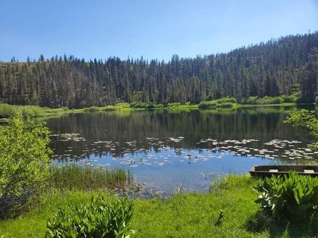 Brandi Benz exclusive model pics