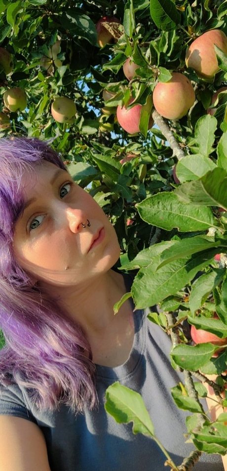 DIY BANDIT star adult photo