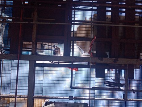 Juli n art model gallery