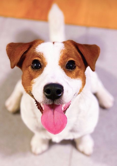 Winyl nice actress picture