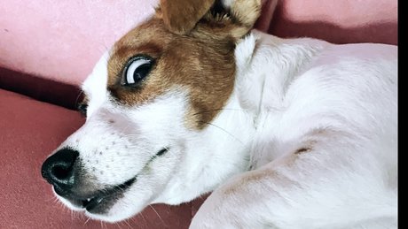 Winyl star hot image