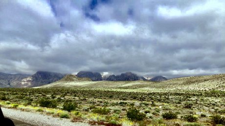 eBlood SiSK star photo