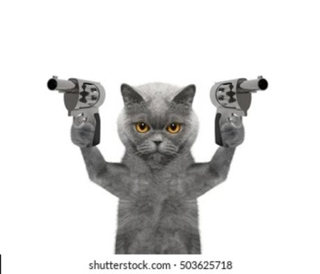 imgonnaeatyourheart star nude archive