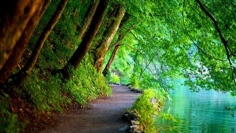 Xaea Zen porn model gallery