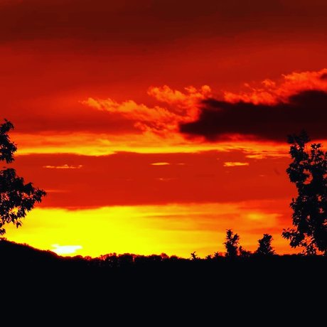 Dennis Leipzig top pornstar photos