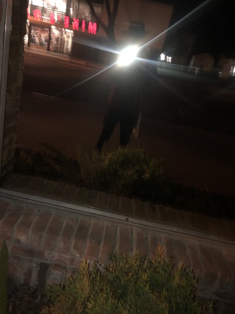 Charlie king model hot pictures