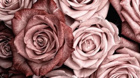 JordieGurl xxx pornstar images