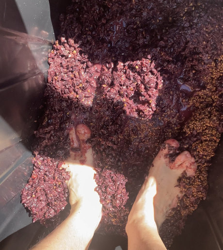 Stepfather nudes pornstar photo