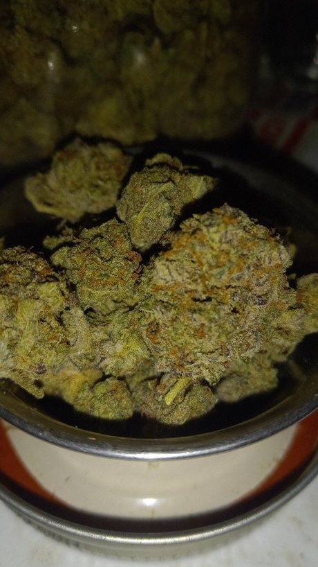 Donalddigbick star nice galleries