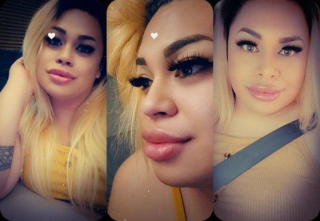 Ts Vinah pornstar free photos