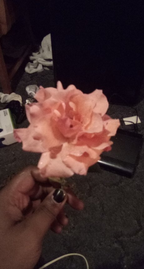 Darius Blue star pornographic pics