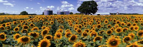 makenzie_ star xxx img