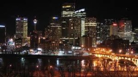 The t Rex Dino hd model photos